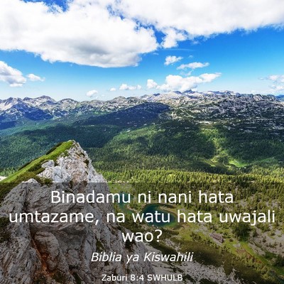 Picture 03 - Zaburi 8:4 SWHULB - Binadamu ni nani hata umtazame, na watu hata - Bible Verse Picture