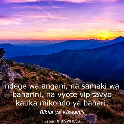 Picture 03 - Zaburi 8:8 SWHULB - ndege wa angani, na samaki wa baharini, na vyote - Bible Verse Picture