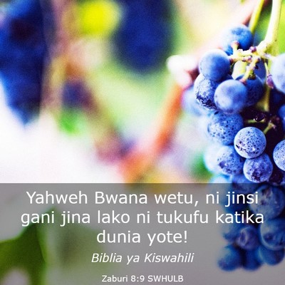 Picture 03 - Zaburi 8:9 SWHULB - Yahweh Bwana wetu, ni jinsi gani jina lako ni - Bible Verse Picture