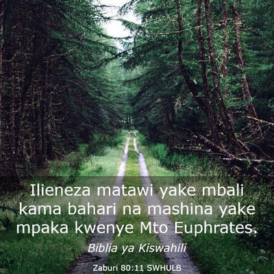 Picture 03 - Zaburi 80:11 SWHULB - Ilieneza matawi yake mbali kama bahari na mashina - Bible Verse Picture