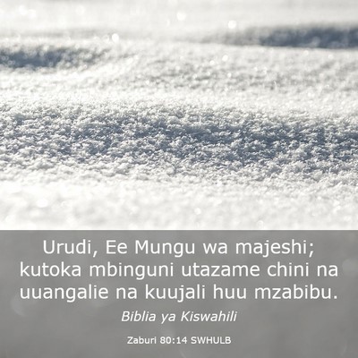 Picture 03 - Zaburi 80:14 SWHULB - Urudi, Ee Mungu wa majeshi; kutoka mbinguni - Bible Verse Picture