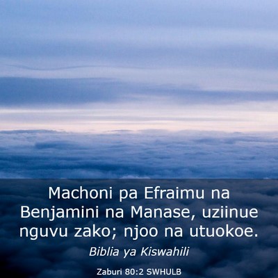 Picture 03 - Zaburi 80:2 SWHULB - Machoni pa Efraimu na Benjamini na Manase, - Bible Verse Picture