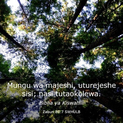 Picture 03 - Zaburi 80:7 SWHULB - Mungu wa majeshi, uturejeshe sisi; nasi - Bible Verse Picture
