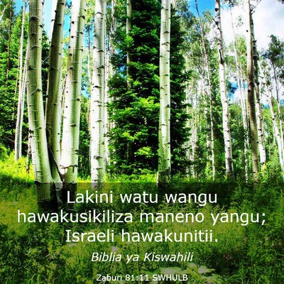 Picture 03 - Zaburi 81:11 SWHULB - Lakini watu wangu hawakusikiliza maneno yangu; - Bible Verse Picture