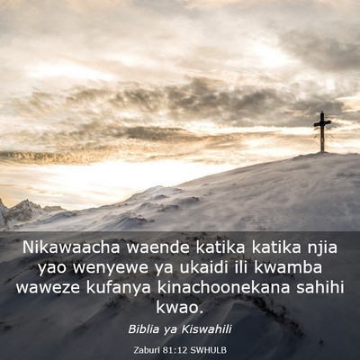 Picture 03 - Zaburi 81:12 SWHULB - Nikawaacha waende katika katika njia yao wenyewe - Bible Verse Picture