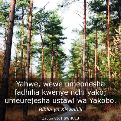 Picture 03 - Zaburi 85:1 SWHULB - Yahwe, wewe umeonesha fadhilia kwenye nchi yako; - Bible Verse Picture