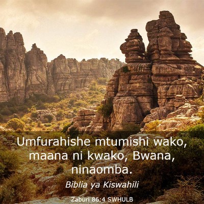 Picture 03 - Zaburi 86:4 SWHULB - Umfurahishe mtumishi wako, maana ni kwako, Bwana, - Bible Verse Picture