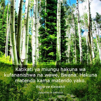 Picture 03 - Zaburi 86:8 SWHULB - Katikati ya miungu hakuna wa kufananishwa na - Bible Verse Picture