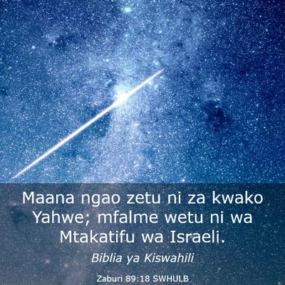 Picture 03 - Zaburi 89:18 SWHULB - Maana ngao zetu ni za kwako Yahwe; mfalme wetu ni - Bible Verse Picture