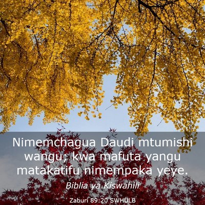 Picture 03 - Zaburi 89:20 SWHULB - Nimemchagua Daudi mtumishi wangu; kwa mafuta - Bible Verse Picture