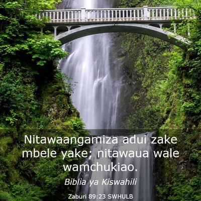 Picture 03 - Zaburi 89:23 SWHULB - Nitawaangamiza adui zake mbele yake; nitawaua - Bible Verse Picture