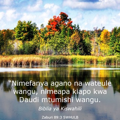 Picture 03 - Zaburi 89:3 SWHULB - “Nimefanya agano na wateule wangu, nimeapa - Bible Verse Picture