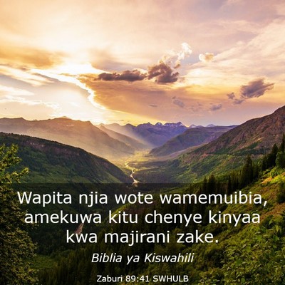 Picture 03 - Zaburi 89:41 SWHULB - Wapita njia wote wamemuibia, amekuwa kitu chenye - Bible Verse Picture