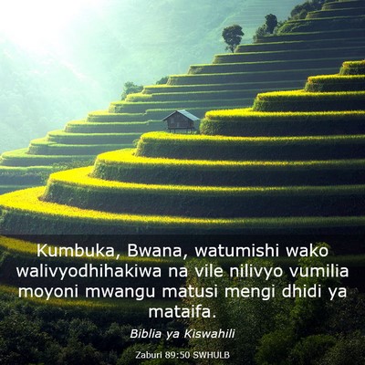 Picture 03 - Zaburi 89:50 SWHULB - Kumbuka, Bwana, watumishi wako walivyodhihakiwa - Bible Verse Picture