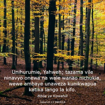 Picture 03 - Zaburi 9:13 SWHULB - Unihurumie, Yahweh; tazama vile ninavyo onewa na - Bible Verse Picture