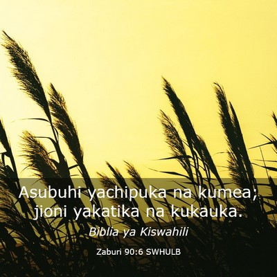 Picture 03 - Zaburi 90:6 SWHULB - Asubuhi yachipuka na kumea; jioni yakatika na - Bible Verse Picture