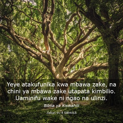 Picture 03 - Zaburi 91:4 SWHULB - Yeye atakufunika kwa mbawa zake, na chini ya - Bible Verse Picture