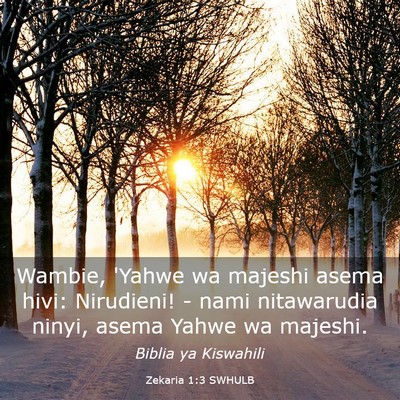 Picture 03 - Zekaria 1:3 SWHULB - Wambie, 'Yahwe wa majeshi asema hivi: Nirudieni! - Bible Verse Picture