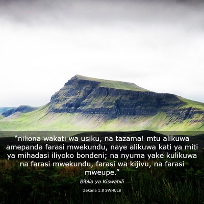 Picture 03 - Zekaria 1:8 SWHULB - “niliona wakati wa usiku, na tazama! mtu - Bible Verse Picture