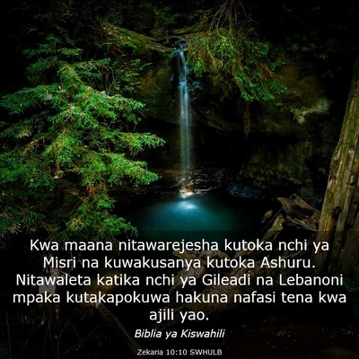Picture 03 - Zekaria 10:10 SWHULB - Kwa maana nitawarejesha kutoka nchi ya Misri na - Bible Verse Picture