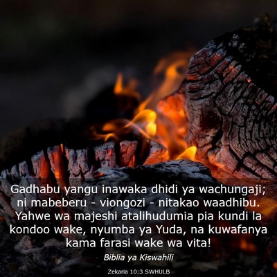 Picture 03 - Zekaria 10:3 SWHULB - Gadhabu yangu inawaka dhidi ya wachungaji; ni - Bible Verse Picture