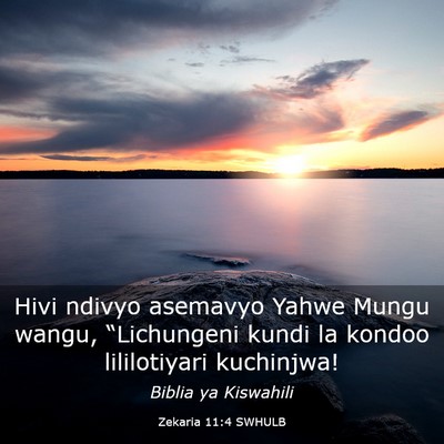Picture 03 - Zekaria 11:4 SWHULB - Hivi ndivyo asemavyo Yahwe Mungu wangu, - Bible Verse Picture