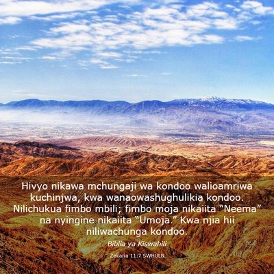 Picture 03 - Zekaria 11:7 SWHULB - Hivyo nikawa mchungaji wa kondoo walioamriwa - Bible Verse Picture