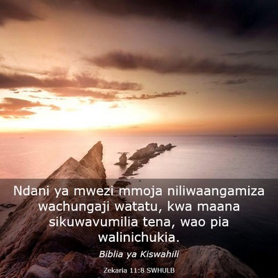 Picture 03 - Zekaria 11:8 SWHULB - Ndani ya mwezi mmoja niliwaangamiza wachungaji - Bible Verse Picture