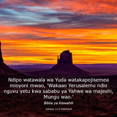 Picture 03 - Zekaria 12:5 SWHULB - Ndipo watawala wa Yuda watakapojisemea mioyoni - Bible Verse Picture