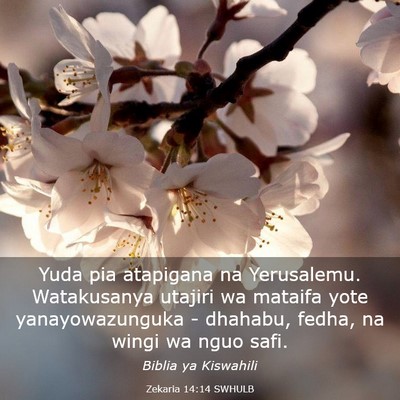 Picture 03 - Zekaria 14:14 SWHULB - Yuda pia atapigana na Yerusalemu. Watakusanya - Bible Verse Picture