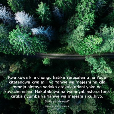 Picture 03 - Zekaria 14:21 SWHULB - Kwa kuwa kila chungu katika Yerusalemu na Yuda - Bible Verse Picture