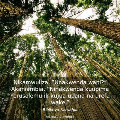 Picture 03 - Zekaria 2:2 SWHULB - Nikamwuliza, “Unakwenda wapi?” Akaniambia, - Bible Verse Picture