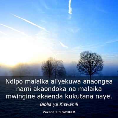 Picture 03 - Zekaria 2:3 SWHULB - Ndipo malaika aliyekuwa anaongea nami akaondoka - Bible Verse Picture