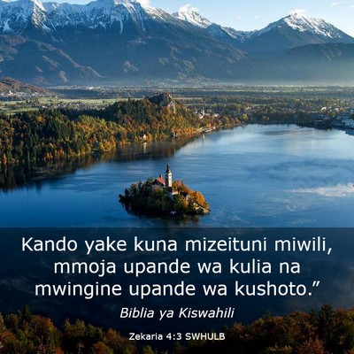 Picture 03 - Zekaria 4:3 SWHULB - Kando yake kuna mizeituni miwili, mmoja upande wa - Bible Verse Picture