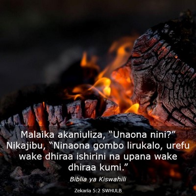 Picture 03 - Zekaria 5:2 SWHULB - Malaika akaniuliza, “Unaona nini?” Nikajibu, - Bible Verse Picture