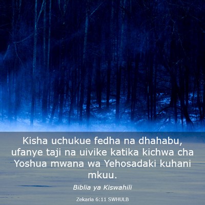 Picture 03 - Zekaria 6:11 SWHULB - Kisha uchukue fedha na dhahabu, ufanye taji na - Bible Verse Picture