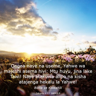 Picture 03 - Zekaria 6:12 SWHULB - Ongea naye na useme, Yahwe wa majeshi asema hivi: - Bible Verse Picture