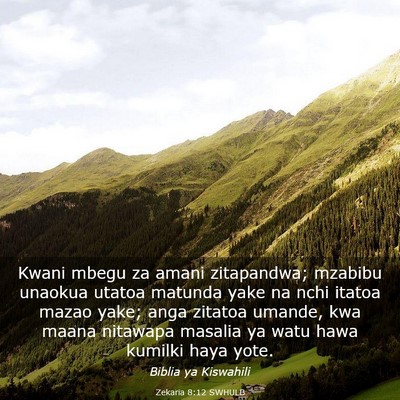 Picture 03 - Zekaria 8:12 SWHULB - Kwani mbegu za amani zitapandwa; mzabibu unaokua - Bible Verse Picture