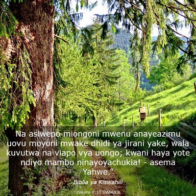 Picture 03 - Zekaria 8:17 SWHULB - Na asiwepo miongoni mwenu anayeazimu uovu moyoni - Bible Verse Picture