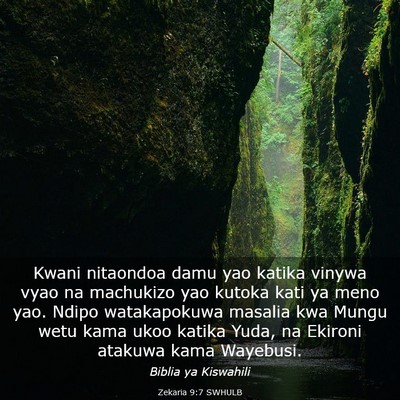 Picture 03 - Zekaria 9:7 SWHULB - Kwani nitaondoa damu yao katika vinywa vyao na - Bible Verse Picture
