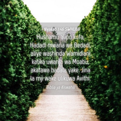 Picture 04 - 1 Nyakati 1:46 SWHULB - Hushamu alipo kufa, Hadadi mwana wa Bedadi, aliye - Bible Verse Picture