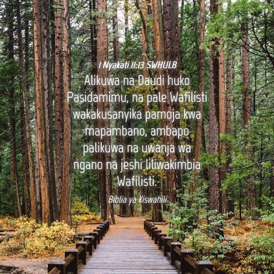 Picture 04 - 1 Nyakati 11:13 SWHULB - Alikuwa na Daudi huko Pasidamimu, na pale - Bible Verse Picture