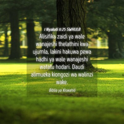 Picture 04 - 1 Nyakati 11:25 SWHULB - Alisifika zaidi ya wale wanajeshi thelathini kwa - Bible Verse Picture