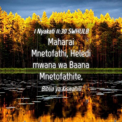Picture 04 - 1 Nyakati 11:30 SWHULB - Maharai Mnetofathi, Heledi mwana wa Baana - Bible Verse Picture