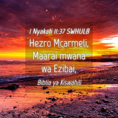 Picture 04 - 1 Nyakati 11:37 SWHULB - Hezro Mcarmeli, Maarai mwana wa - Bible Verse Picture