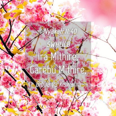 Picture 04 - 1 Nyakati 11:40 SWHULB - Ira Mithire, Garebu - Bible Verse Picture