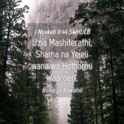 Picture 04 - 1 Nyakati 11:44 SWHULB - Uzia Mashiterathi, Shama na Yeieli wana wa - Bible Verse Picture