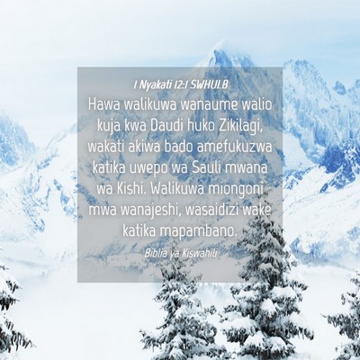 Picture 04 - 1 Nyakati 12:1 SWHULB - Hawa walikuwa wanaume walio kuja kwa Daudi huko - Bible Verse Picture