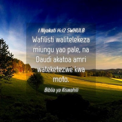 Picture 04 - 1 Nyakati 14:12 SWHULB - Wafilisti walitelekeza miungu yao pale, na Daudi - Bible Verse Picture