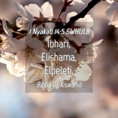 Picture 04 - 1 Nyakati 14:5 SWHULB - Ibhari, Elishama, - Bible Verse Picture